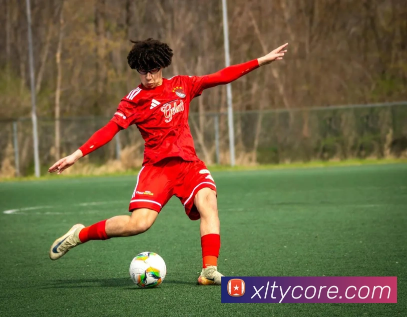 新利体育服务体系